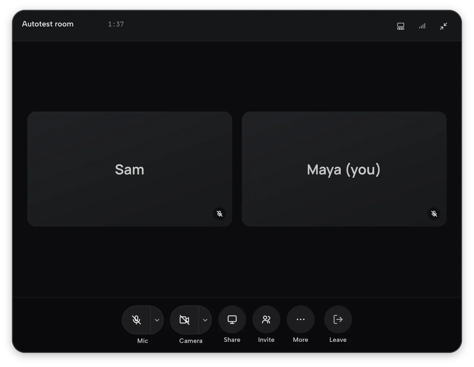 The meeting window with two participants and the control bar